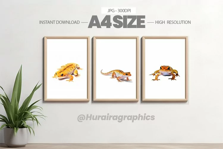 Animal Wall Art - 03 Variations