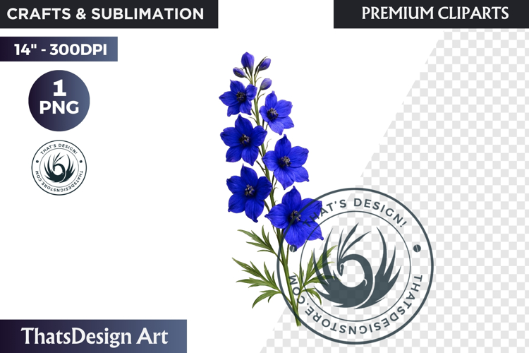 Lavender Png Image 8