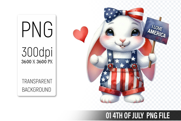 American Flag Png Image 10