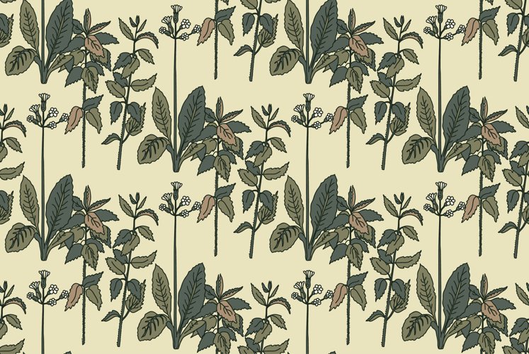 Greenery Clipart Image 24