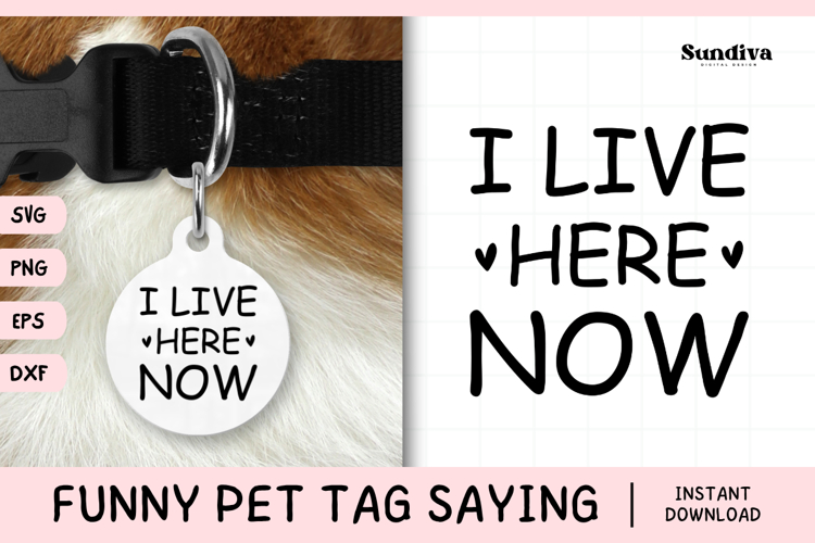 Dog Collar Svg Image 4