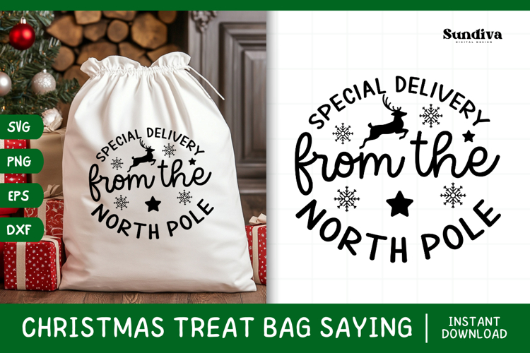 Christmas Treat Bag Quote SVG | Special Delivery