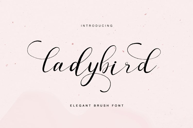 ladybird - elegant brush font example image 1