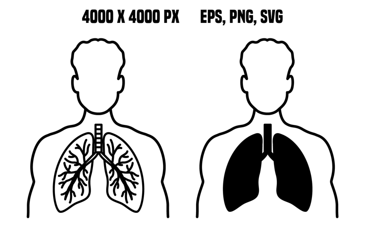 Lungs Clipart Image 4