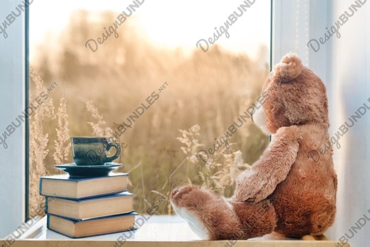 Teddy bear with cup of coffee and books on window still. example image 1