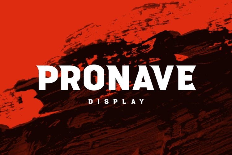 Pronave example image 1
