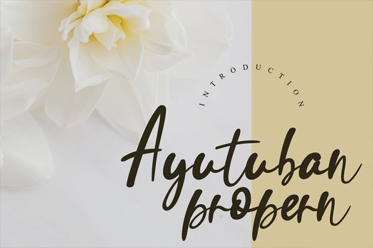 Ayutuban propern example image 1