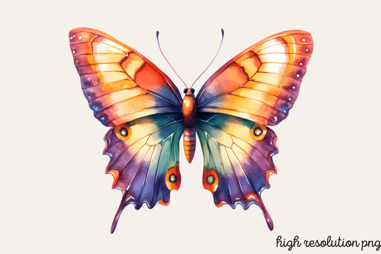 Colorful Spring Butterfly Clipart PNG
