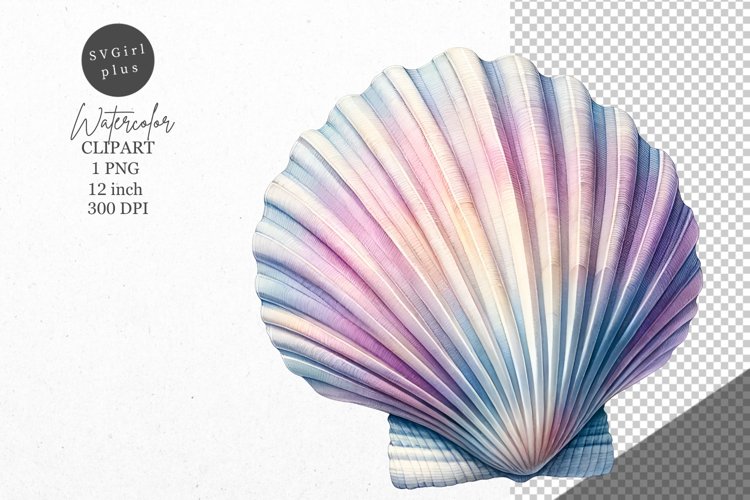 Summer clipart, Shell clipart, Beach clipart