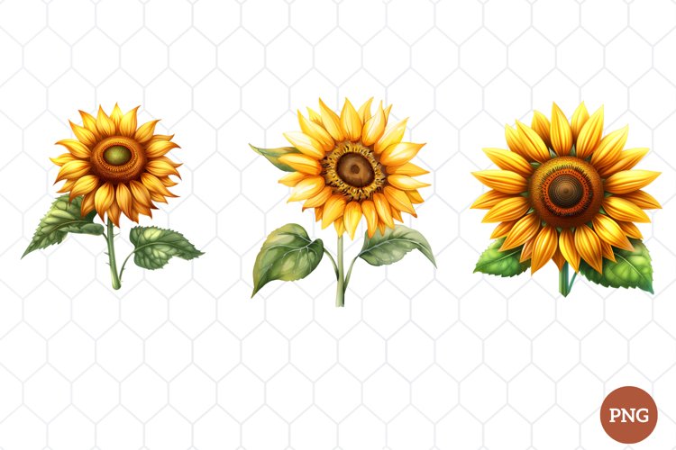 Watercolor Wildflowers Clipart