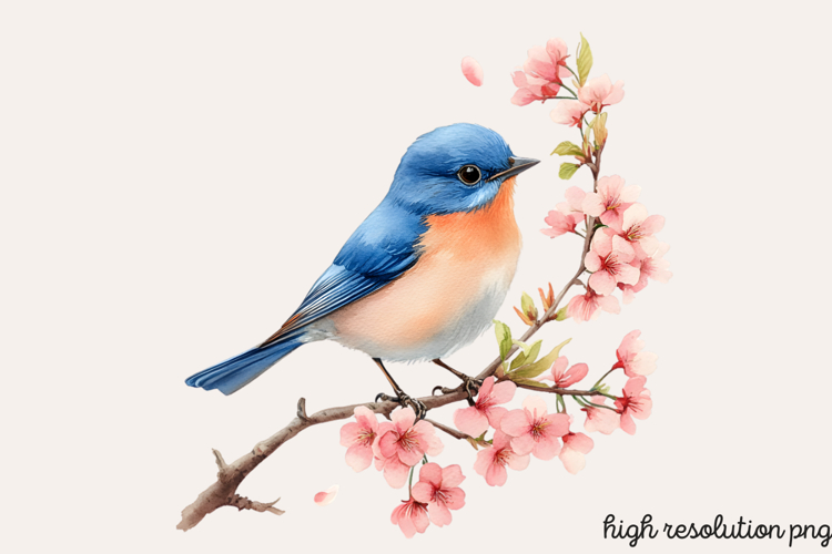 Spring Neutral Blue Clipart PNG