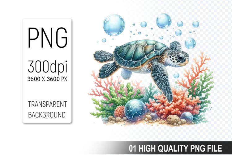 Turtle Png Image 16