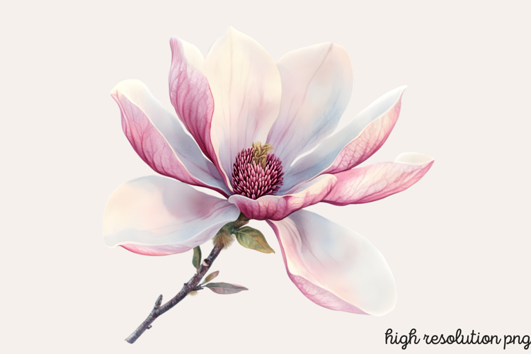 Boho SVG Image 11