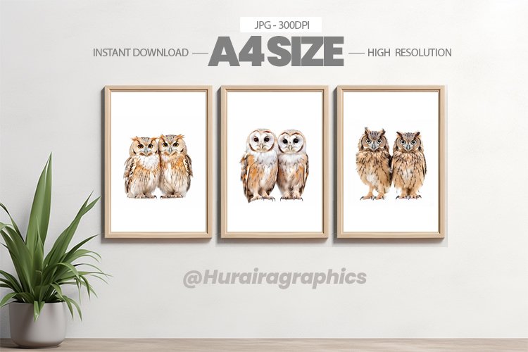 Owl Clipart Image 19