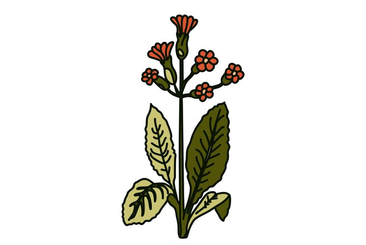 Greenery Clipart Image 23