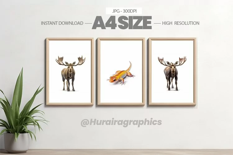 Animal Wall Art - 03 Variations