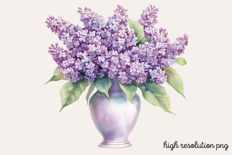 Lilac Illustration Image 24