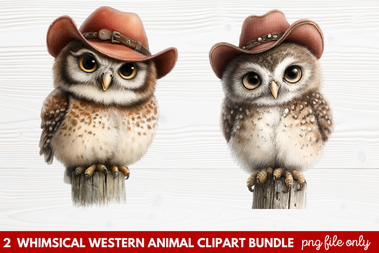 Rodeo Clipart Image 8