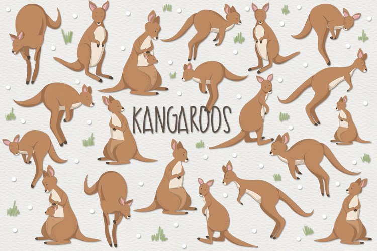 Kangaroos example image 1