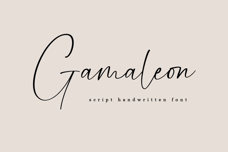 Gamaleon - Script Handwritten Font example image 1