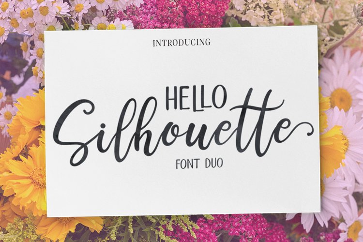 Hello Silhouette Script Font DUO example image 1