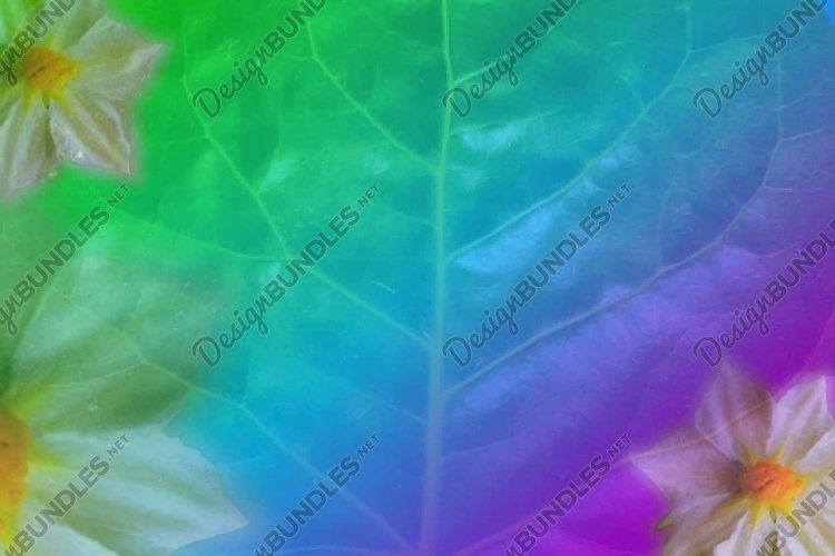 Wedding Vector Image 18