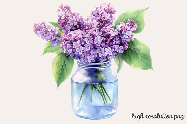 Lilac Illustration Image 23