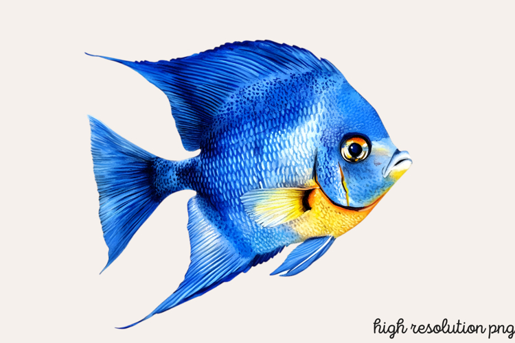 Animals Png Image 5