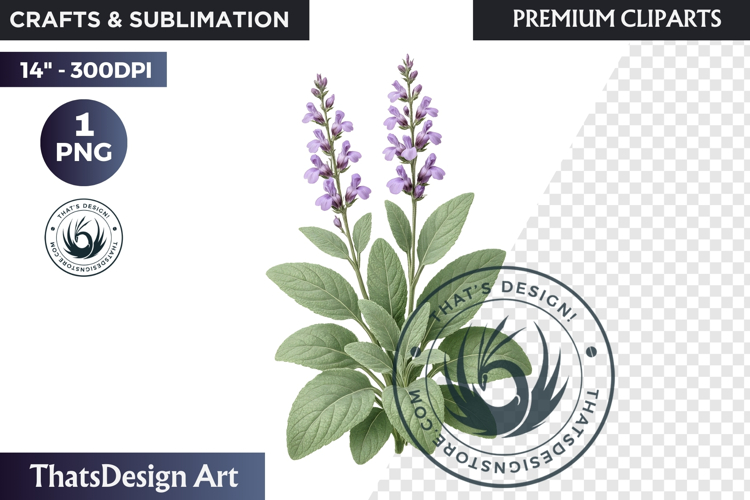 Lavender Png Image 6