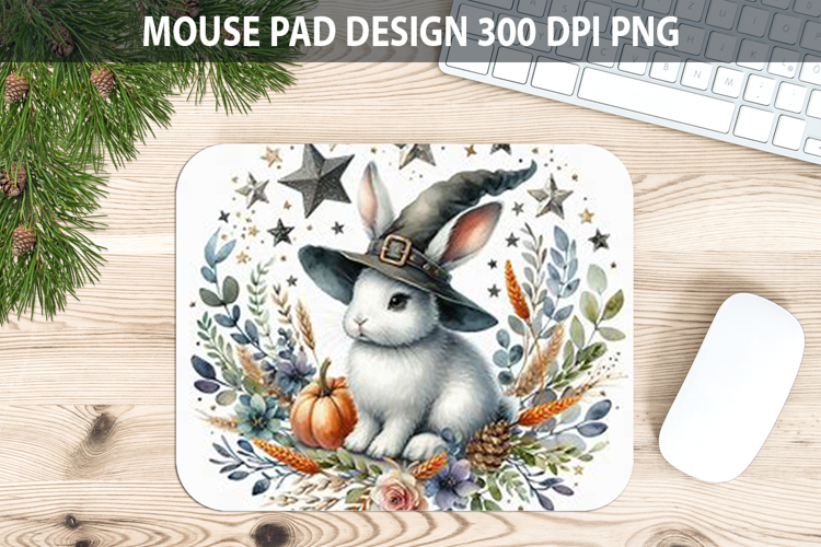Mouse Clipart Image 18