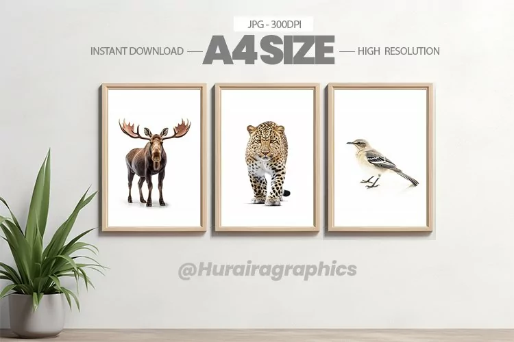 Animal Wall Art - 03 Variations