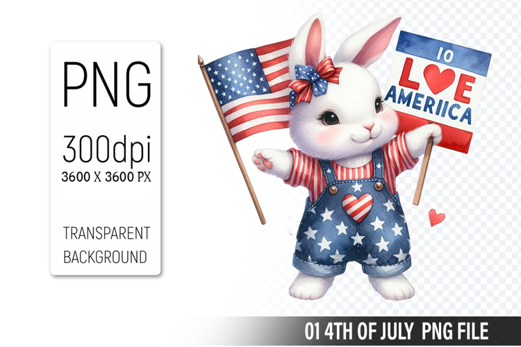 American Flag Png Image 9