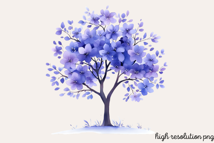 Baum Png Image 24