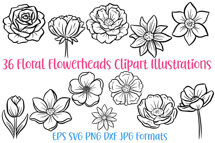 36 Floral Wildflower Flowerheads Illustration Clipart PNG
