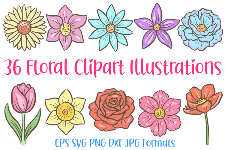 36 Floral Wildflower Flowerheads Illustration Clipart SVG