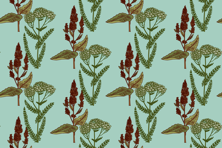 Flower Vector Image 3