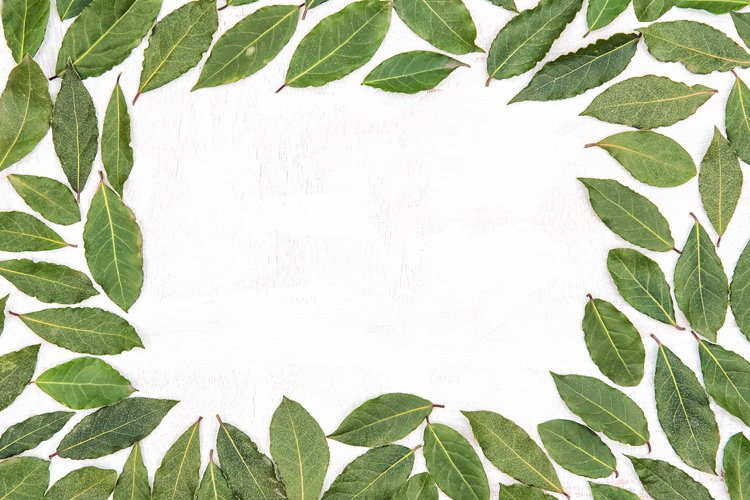 Floral Background Image 2