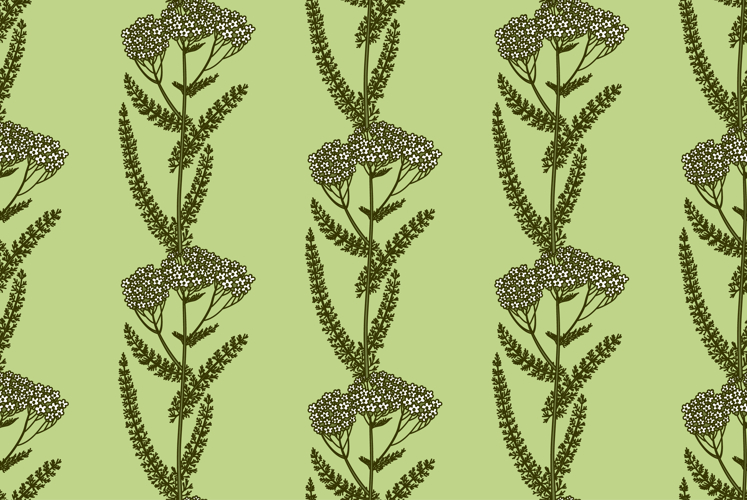 Flower Vector
