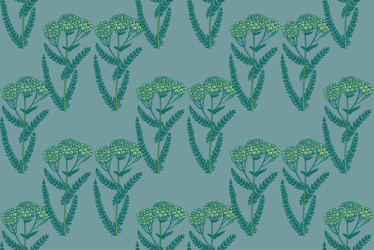 Flower Vector Image 23