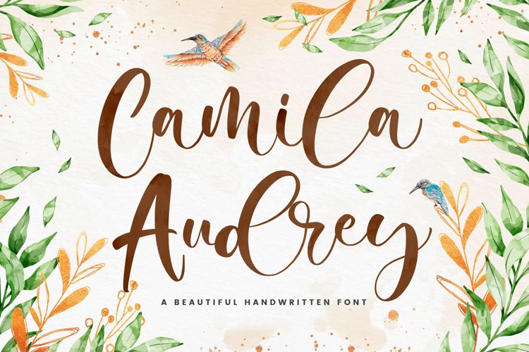 Beautiful Script Font - Camila Audrey example image 1