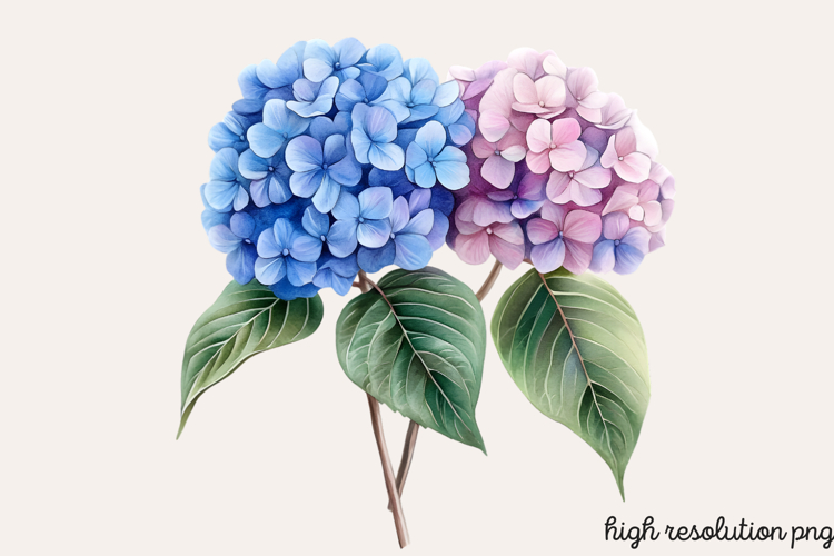 Boho SVG Image 9