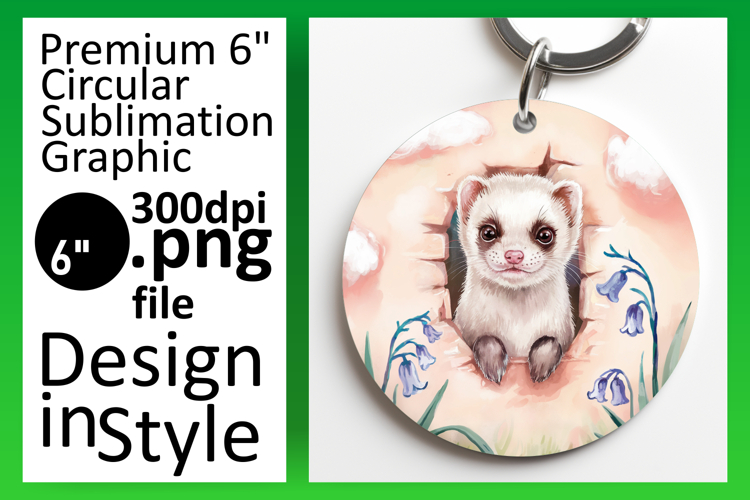 Circle Png Image 8