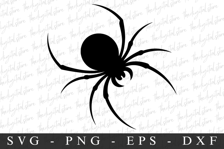 Spider Silhouette Image 18