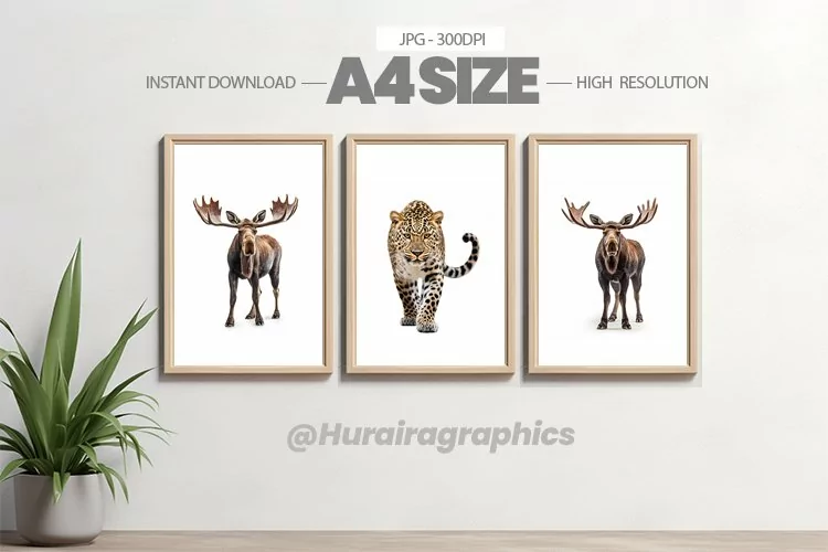 Animal Wall Art - 03 Variations