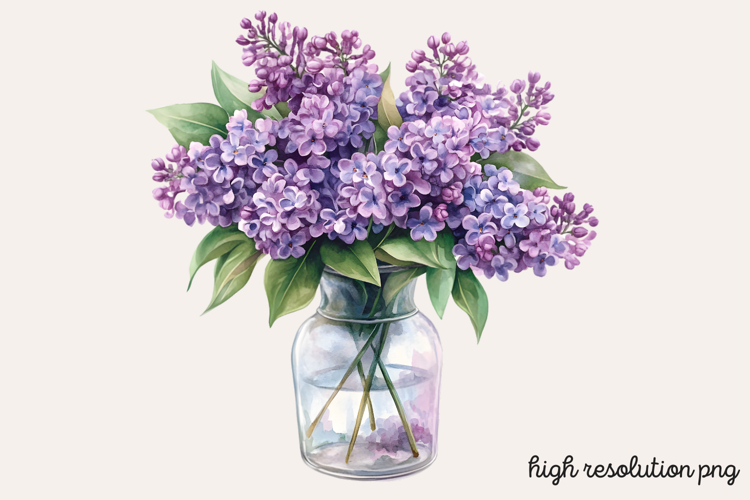 Lilac Illustration Image 22