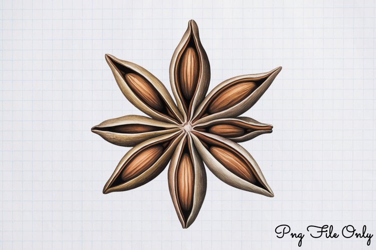 Rustic Christmas Sublimation Clipart PNG