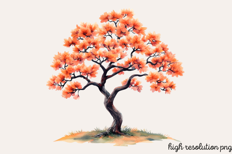 Baum Png