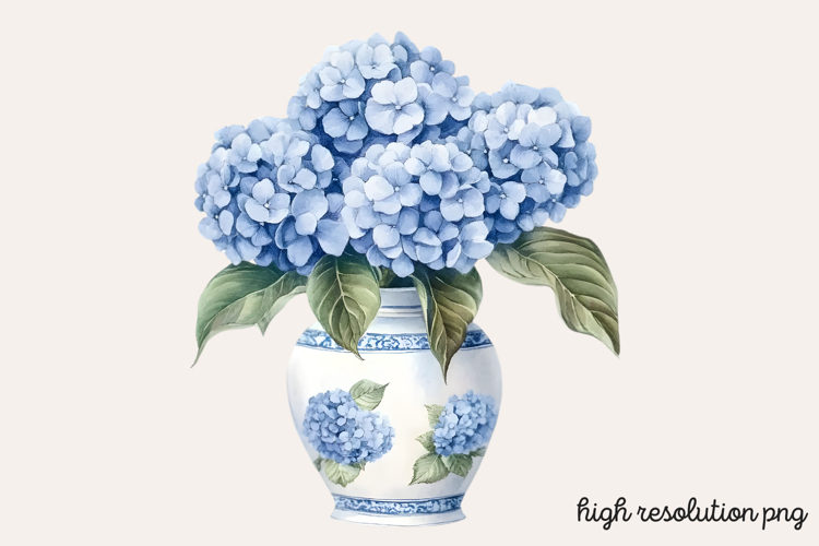 Hydrangea Png Image 23