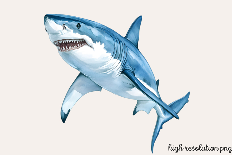 Animals Png Image 6