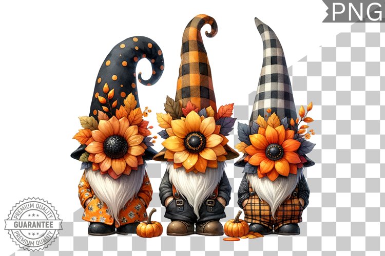 Gnome Clipart Image 11